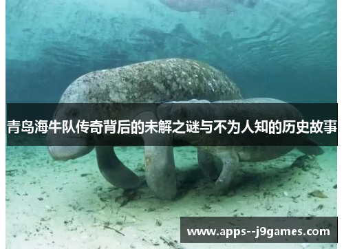 青岛海牛队传奇背后的未解之谜与不为人知的历史故事